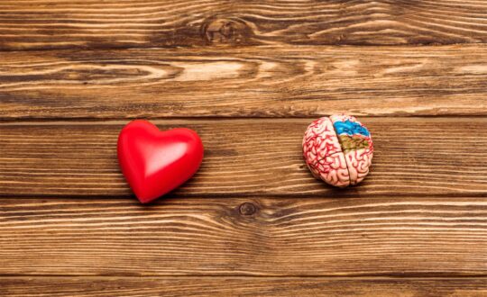 blog-brain-heart-1