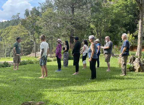 blog-chikung-movimiento-1