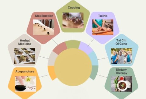 7 Pillars of TCM - 1