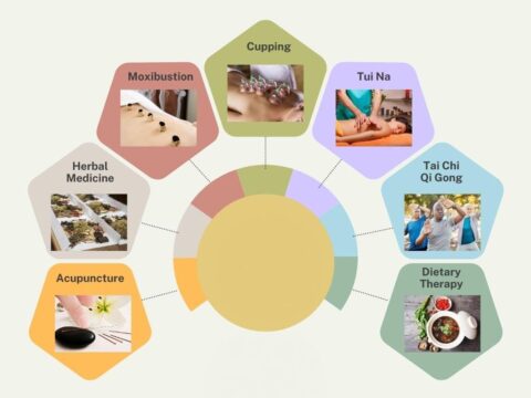 7 Pillars of TCM - 1