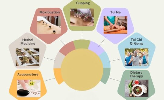 7 Pillars of TCM - 1